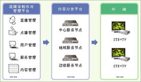 數(shù)字內(nèi)容制作服務(wù) 為企業(yè)插上數(shù)字化轉(zhuǎn)型的翅膀
