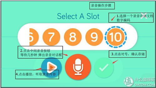 機(jī)器人制作入門(mén) 從零到一，開(kāi)啟數(shù)字內(nèi)容創(chuàng)作新篇章